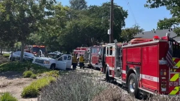 59-year-old Mitchell Katz has died after a collision on East Avenue in Livermore Friday evening.