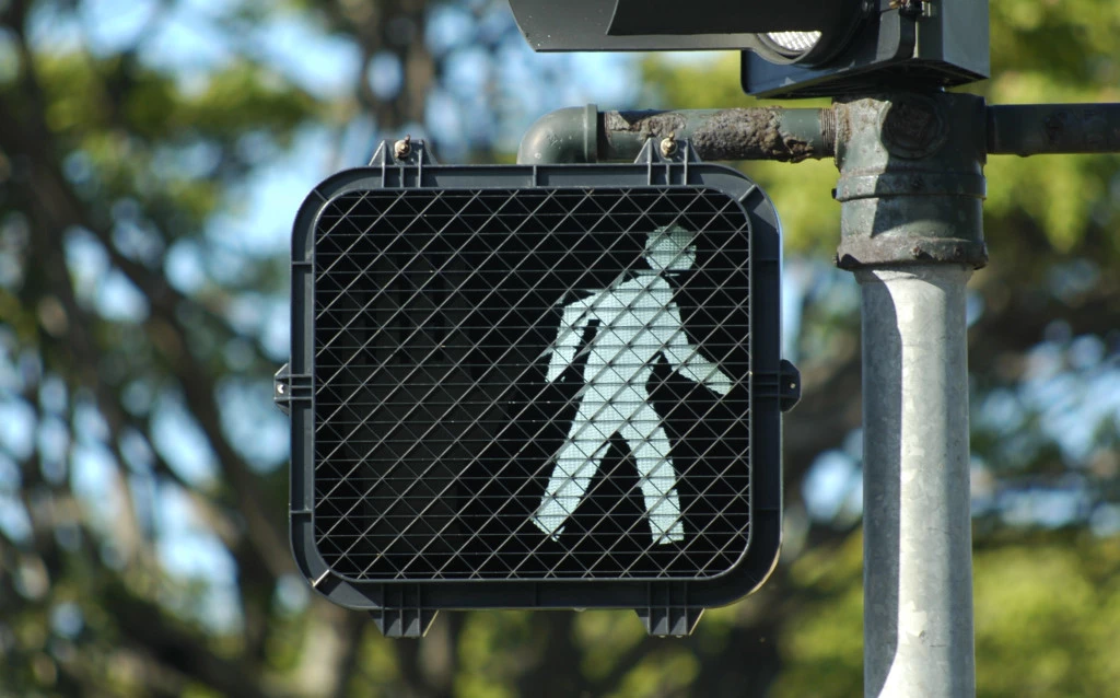 A car traveling in reverse fatally struck a pedestrian in South LA Saturday evening.