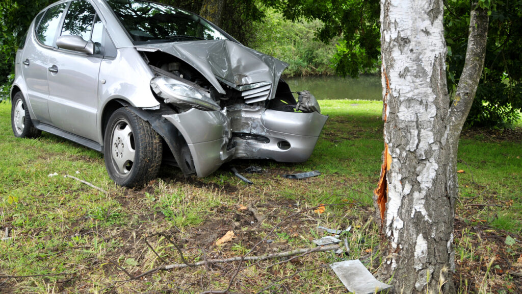 1 dead, 1 injured when car crashes into tree in Hayward