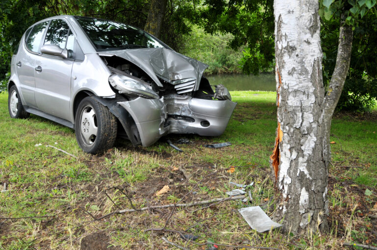 1 dead, 1 injured when car crashes into tree in Hayward