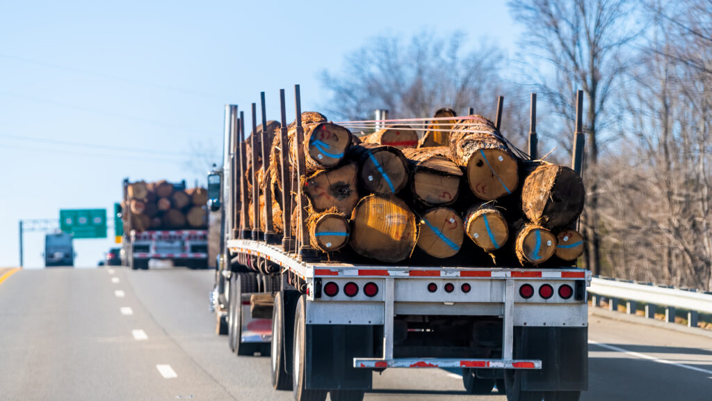 Manuel Camacho Jr. Impaled & Killed By Lumber On 118 Freeway In Chatsworth Neighborhood, Los