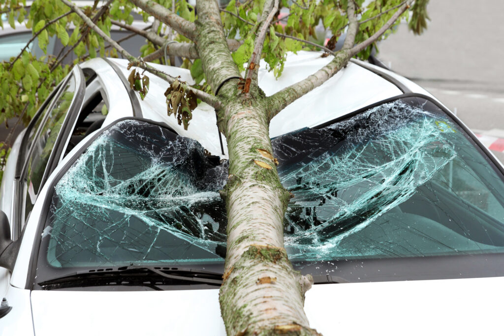 6 injured when car crashed into tree in Turlock.