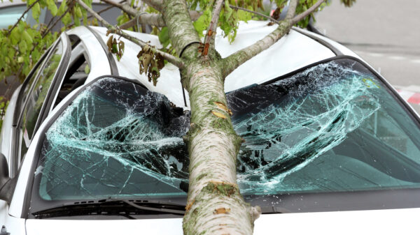 6 injured when car crashed into tree in Turlock.