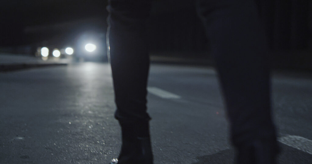 Pedestrian struck and killed by vehicle on Harbor 110 Freeway in Los Angeles.