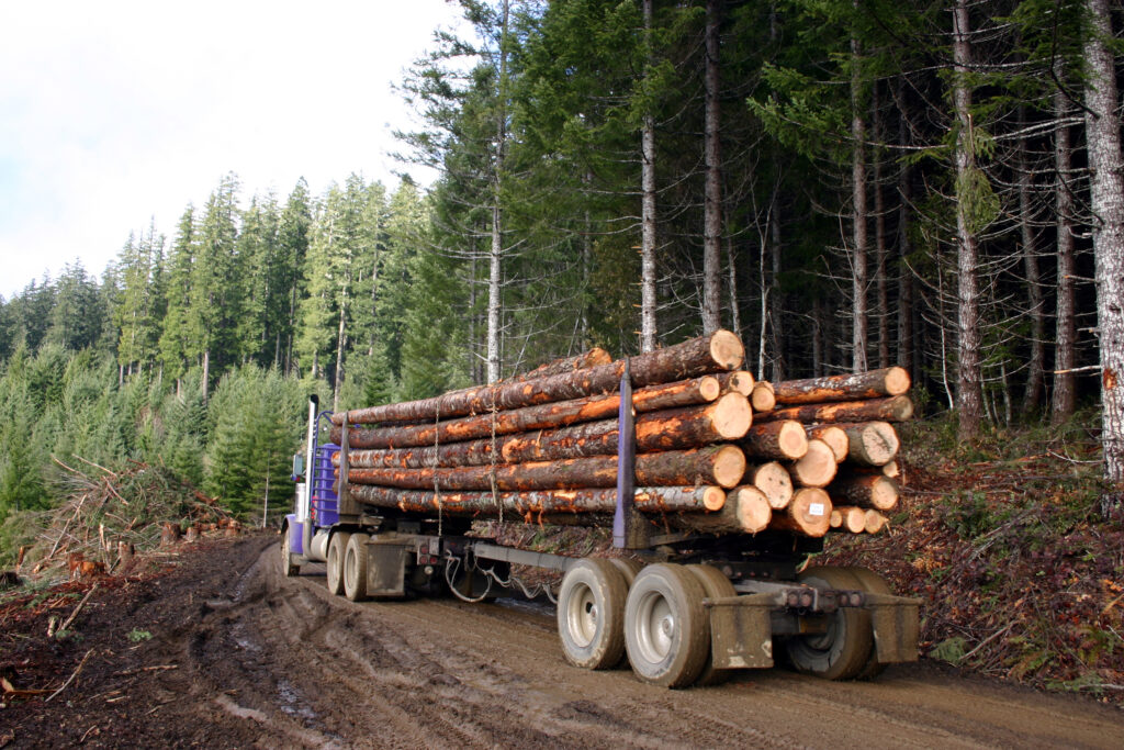 2 injured in logging truck accident on Highway 36 in Bridgeville.