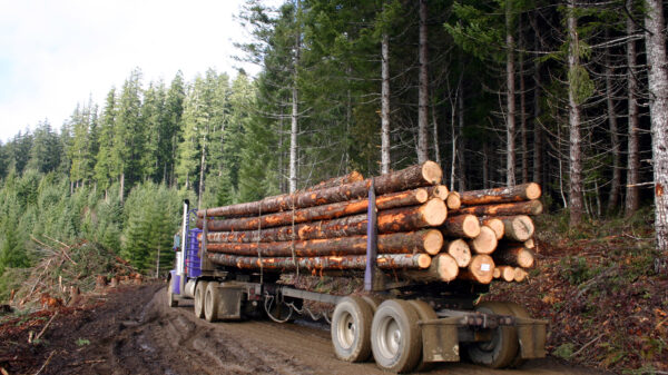 2 injured in logging truck accident on Highway 36 in Bridgeville.